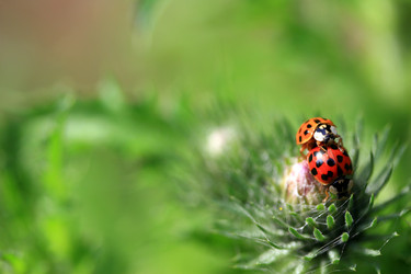 Similar image 8017356