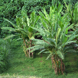 Similar image 8017358