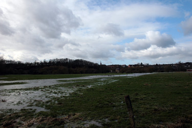 Similar image 8017359