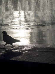 Similar image 8017364