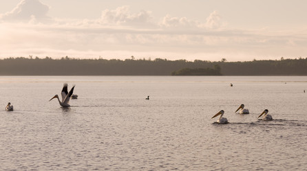 Similar image 8017370