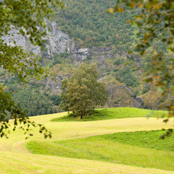 Similar image 8017375