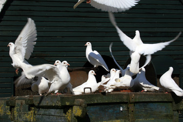 Similar image 8017385