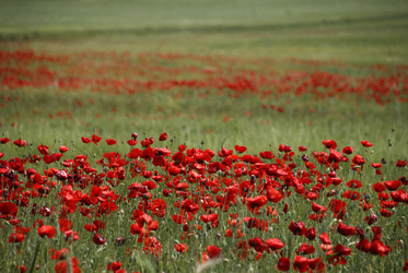 Similar image 8017387