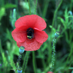 Similar image 8017388