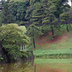 Similar image 8017399