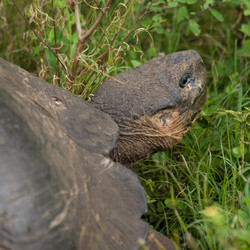 Similar image 8017415