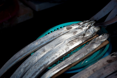 Similar image 8017422