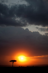 Similar image 8017426