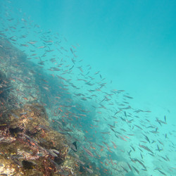 Similar image 8017437