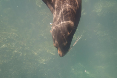 Similar image 8017448