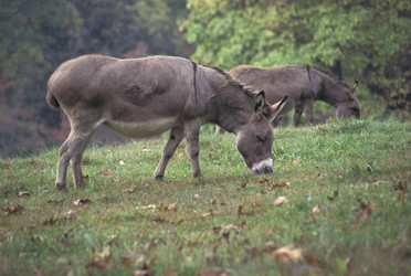 Similar image 8017449