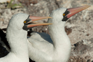 Similar image 8017450