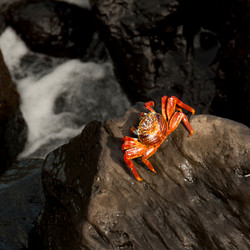 Similar image 8017461