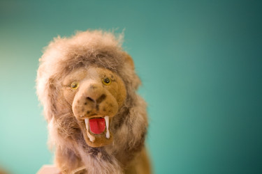 Similar image 8017468