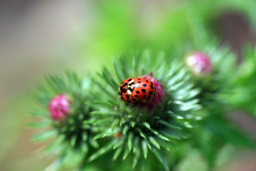 Similar image 8017475