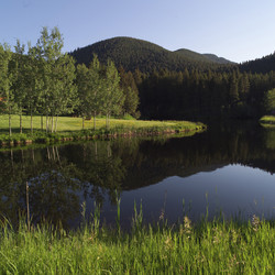 Similar image 8017476