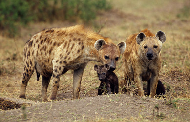 Similar image 8017480