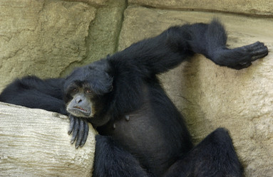 Similar image 8017483