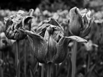 Similar image 8017486