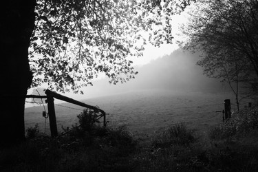 Similar image 8017488