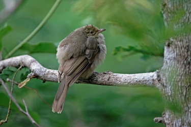 Similar image 8017491