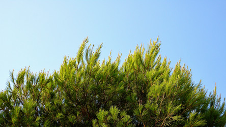 Similar image 8017492