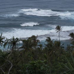 Similar image 8017498