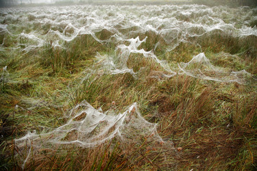 Similar image 8017521