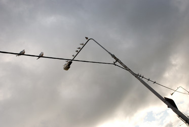 Similar image 8017531