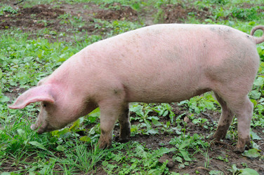 Similar image 8017536