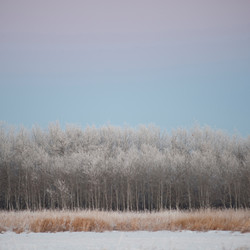 Similar image 8017546