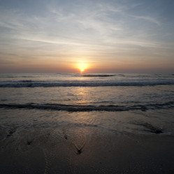 Similar image 8017548