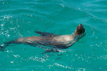 Similar image 8017549