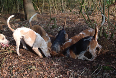 Similar image 8017571