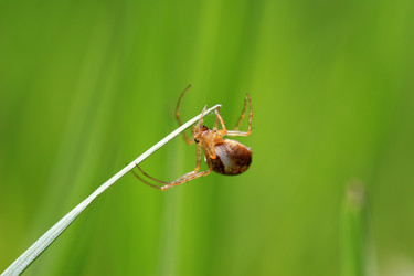 Similar image 8017584