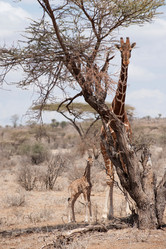 Similar image 8017589