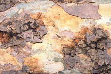 Similar image 8017591