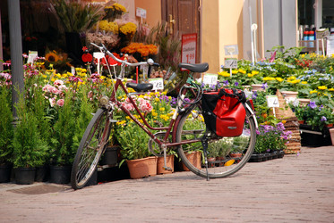 Similar image 8017609