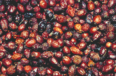 Similar image 8017612