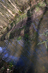 Similar image 8017624