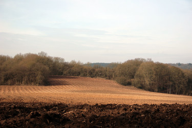 Similar image 8017625