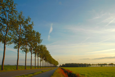 Similar image 8017632