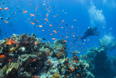 Similar image 8017637