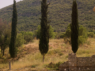 Similar image 8017640