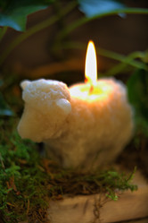 Similar image 8017642