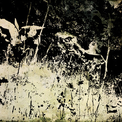 Similar image 8017647