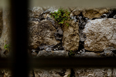 Similar image 8017649