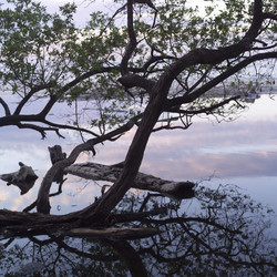 Similar image 8017656