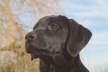 Similar image 8017665